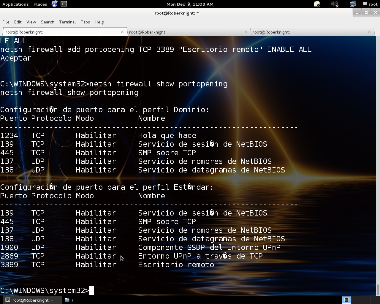 Hacking y pentesting en español Backdorizando un sistema, activando